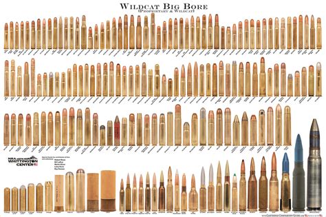 Rifle Ammunition Sizes Comparison Chart