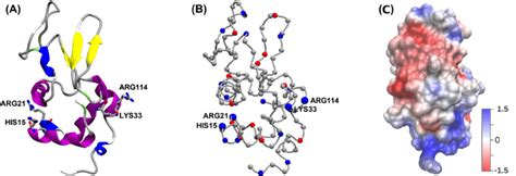 A Structure Of Hen Egg White Lysozyme Hewl Protein Built From