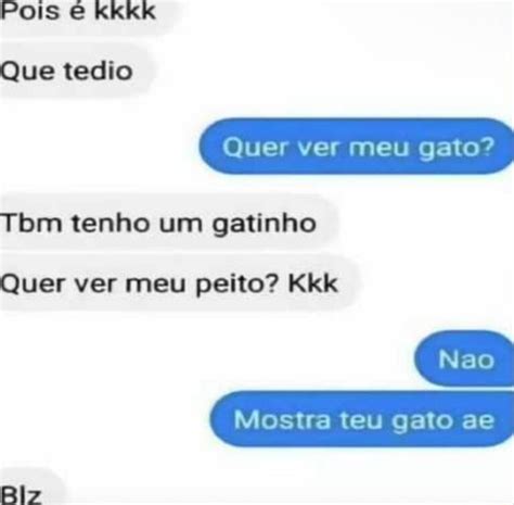 Pois Kkkk Que Tedio Quer Ver Meu Gato Tbm Tenho Um Gatinho Quer Ver