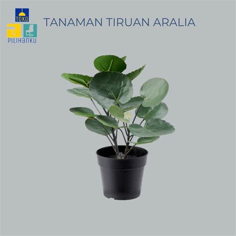 Jual Produk Fjka Aralia Tanaman Hias Bunga Plastik Artificial Tiruan