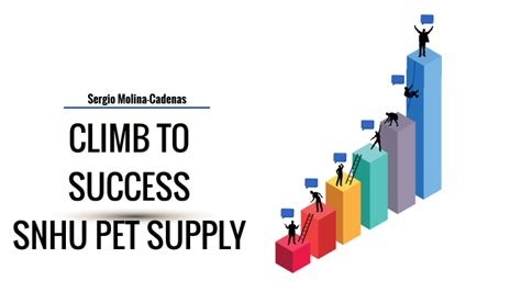 Snhu Pet Supply Company Final Project By Sergio Molina On Prezi