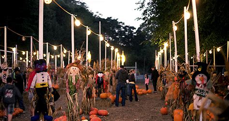 best pumpkin patch south bay area - Kirby Altman