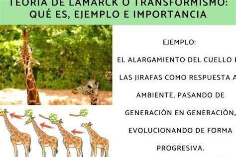 Teor A De Lamarck Qu Es Importancia Y Ejemplo Resumen Para Estudiar