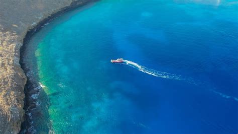 Molokini Crater Snorkeling - This Hawaii Life