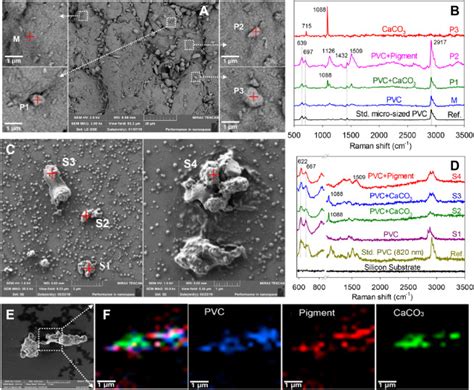 Correlative Raman Imaging And Scanning Electron Microscopy For Advanced