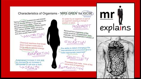 mr i explains: Characteristics of Organisms - 'MRS GREN' for IGCSE ...