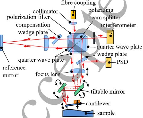 Functional Principle Of The Mafm Download Scientific Diagram