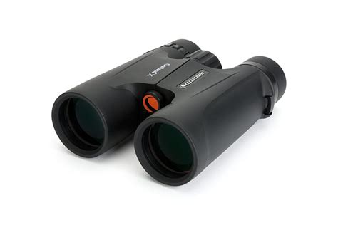 Best Binoculars for Birding 2020 - The Ultimate Guide - Todays Cacher