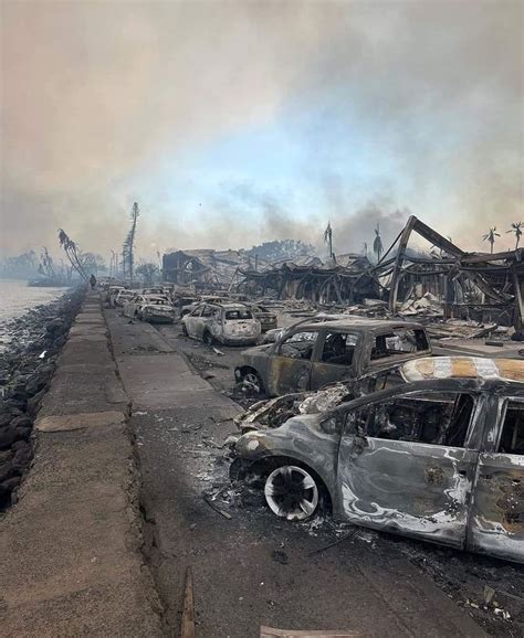 Incêndios florestais no Havaí deixam ao menos 36 mortos e destroem