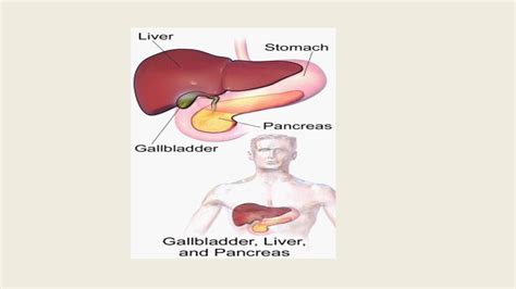 Cholecystitis - Causes, Signs & Symptoms and Treatment : MEDICUS