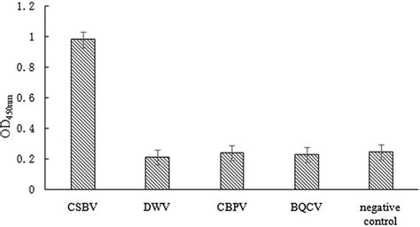 Specificity validation of the sandwich ELISA method. In the sandwich ...