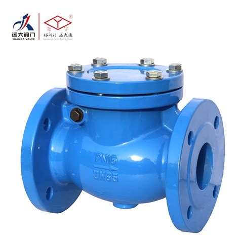 Din F Cast Iron Swing Check Valve China Din Swing Start Check Valve