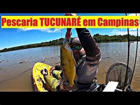 TUCUNARÉ AMARELO NA PESCARIA EM CAMPINAS Caiaques Hobie Outback e