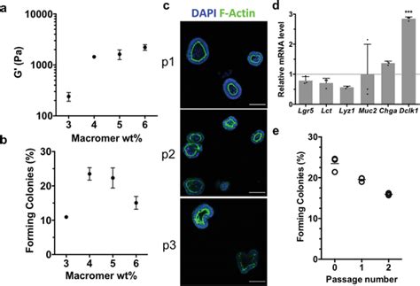 Allyl Sulfide Photodegradable Hydrogels Support The Expansion And