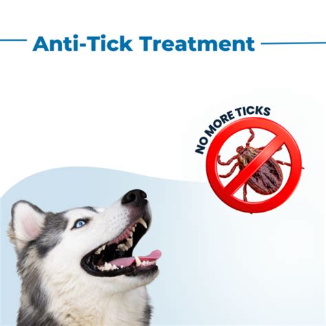 Tick Treatment - Monkoodog