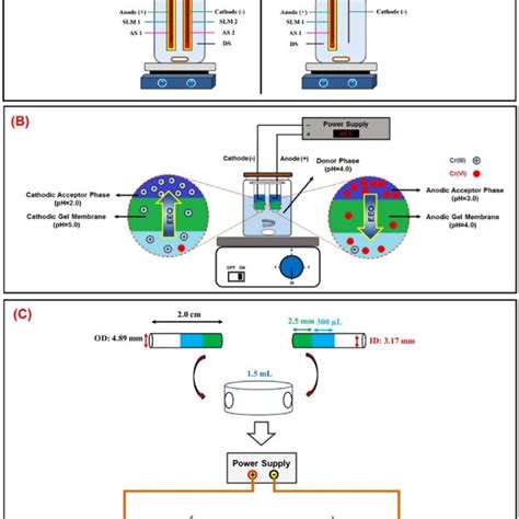 A Two Different Setups Of EME A DEME For Cr Speciation B SEME