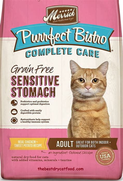 Best Dry Cat Food for Sensitive Stomachs 2024 Reviews & Buyer Guide