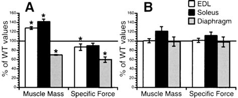 Contractile Properties Of Edl Soleus And Diaphragm Muscles In