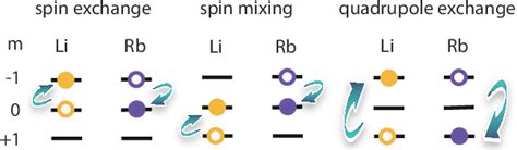 Figure From Collisional Spin Transfer In An Atomic Heteronuclear