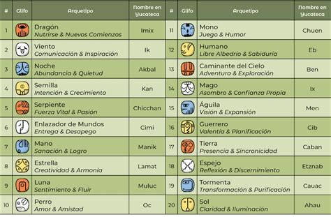 Las Bases Del Tzolkin Y Componentes Para Principiantes MayanKin