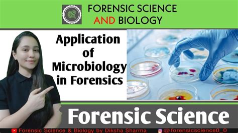 Application Of Microbiology In Forensics Youtube