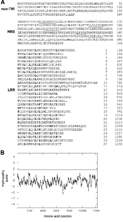 Predicted Structure And Topology Of The Deduced Amino Acid Sequence Of