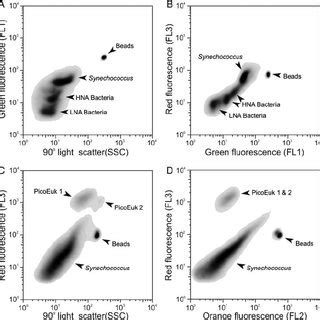 Examples Of Cytograms Density Plots Obtained By Flow Cytometry Of