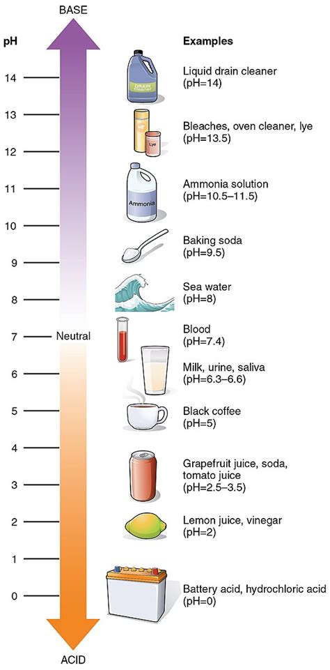 The Ph Of Sodium Chloride In Water