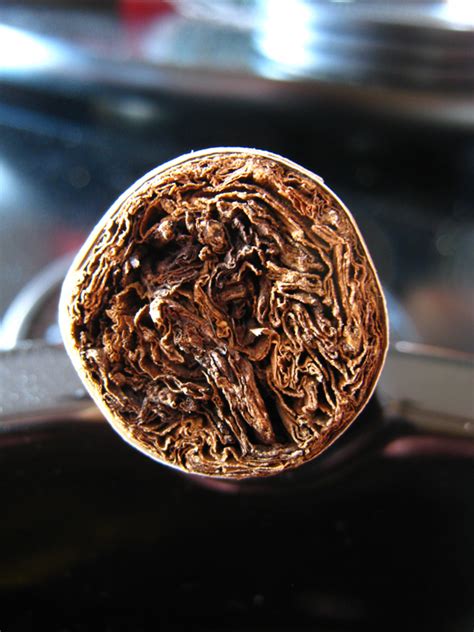 Diesel - Unholy Cocktail - Cigar Reviews | Beer Pairings | Casas Fumando