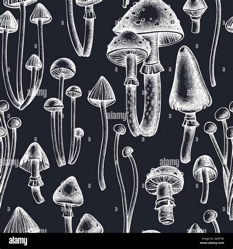 Forest Mushrooms Seamless Pattern Background Design Engraved Style