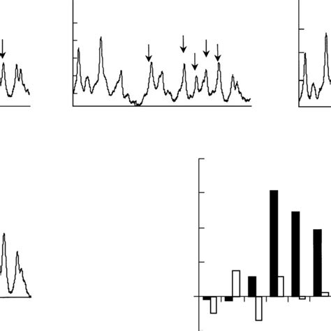 Densitometric Analysis Of Potassium Permanganate Footprinting Of The Download Scientific