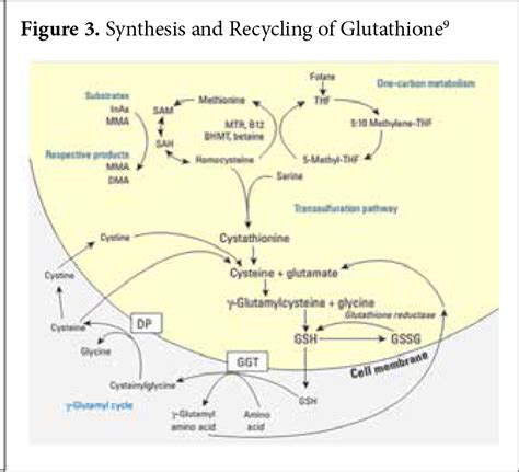 Glutathione! - InnoVision Education