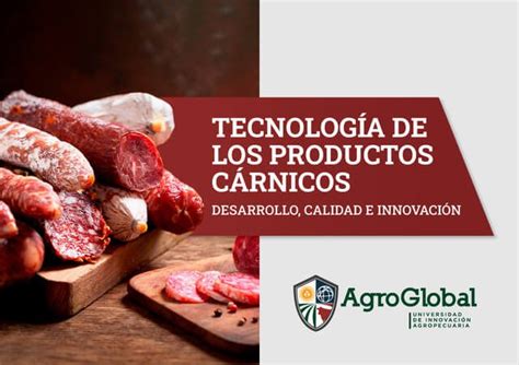 Tecnología de los Productos Cárnicos AgroGlobal