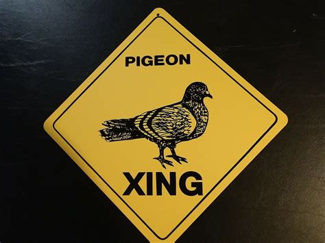 Large Crossing Funny Novelty Xing Sign bird Pigeon - Plaques & Signs