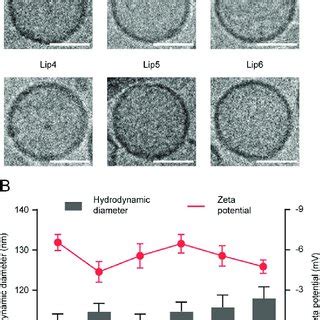 Characterization Of Different Liposomes A Cryo Tem Images Of