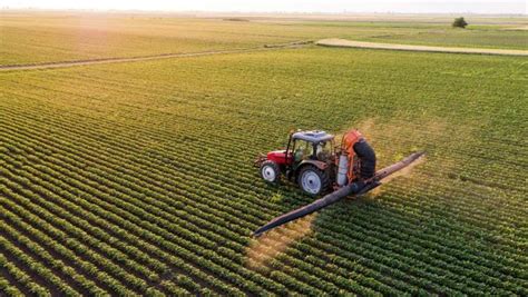 Agricoltura Ecco Perch Con Il Pnrr Il Ministero Pi Ambito In