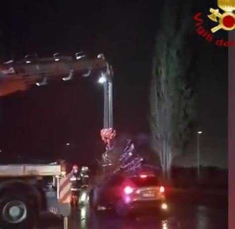 Maltempo In Provincia Di Latina Albero Crolla Su Un Auto VIDEO