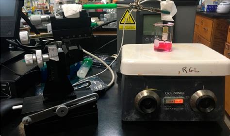 Figure 3 From In Vitro Electrochemical Detection Of Hydrogen Peroxide