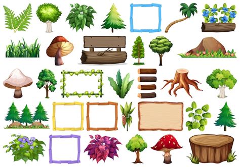 Free Vector Set Of Ornamental Plants