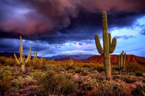 🔥 [50+] Desert Storm Wallpapers | WallpaperSafari