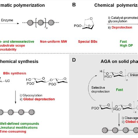 Scheme A Aga Of N Acetylglucosamine Hexasaccharide And