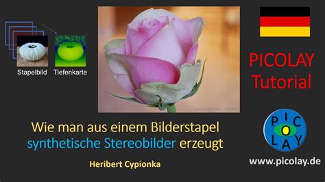 Synthetische Stereobilder Durch Fokus Stacking Picolay D Tutorial