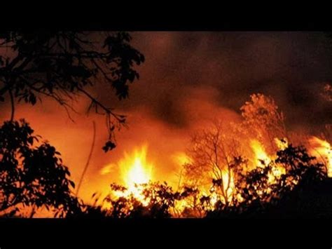 Uttarakhand Forest Fire Rages On Ndrf Teams Deployed Video Dailymotion