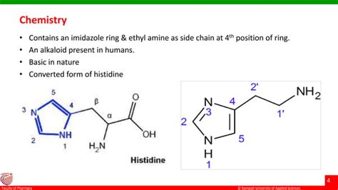 Antihistamines Ppt