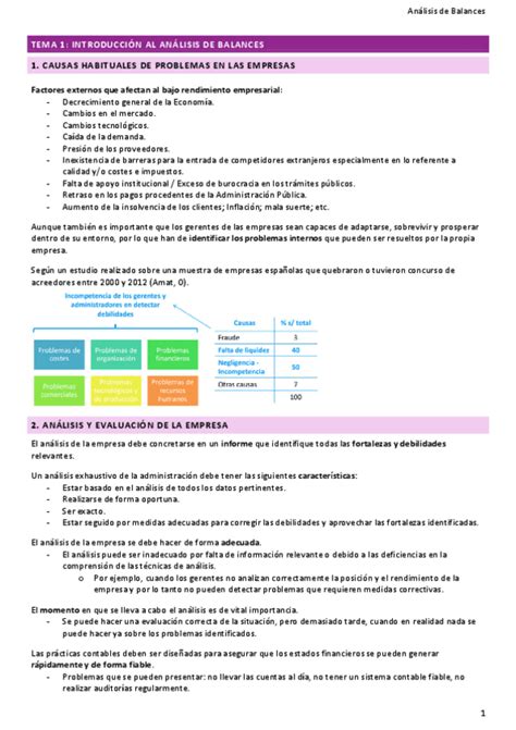 Tema Introduccion Al Analisis De Balances Pdf