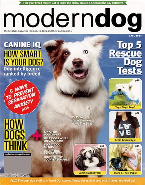 Modern Dog Magazine Modern Dog Magazine Subscription