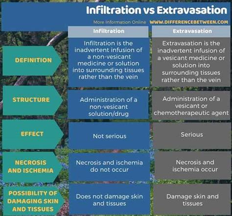 Diferencia Entre La Infiltraci N Y La Extravasaci N Prodiffs