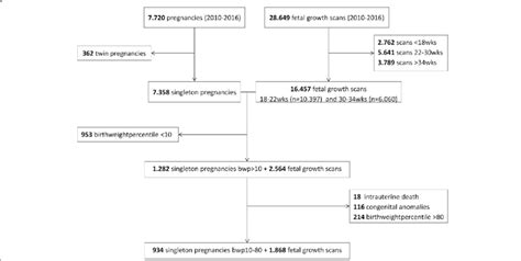 Flowchart Of Matched Pregnancies And Fetal Growthscans In The Download Scientific Diagram