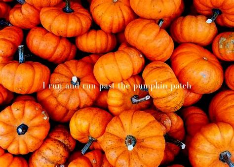 Taylor Swift Halloween Wallpapers Top Free Taylor Swift Halloween