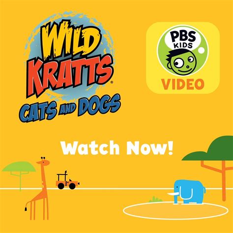 PBS KIDS | "Wild Kratts: Cats & Dogs" | house cat, dog, wilderness ...